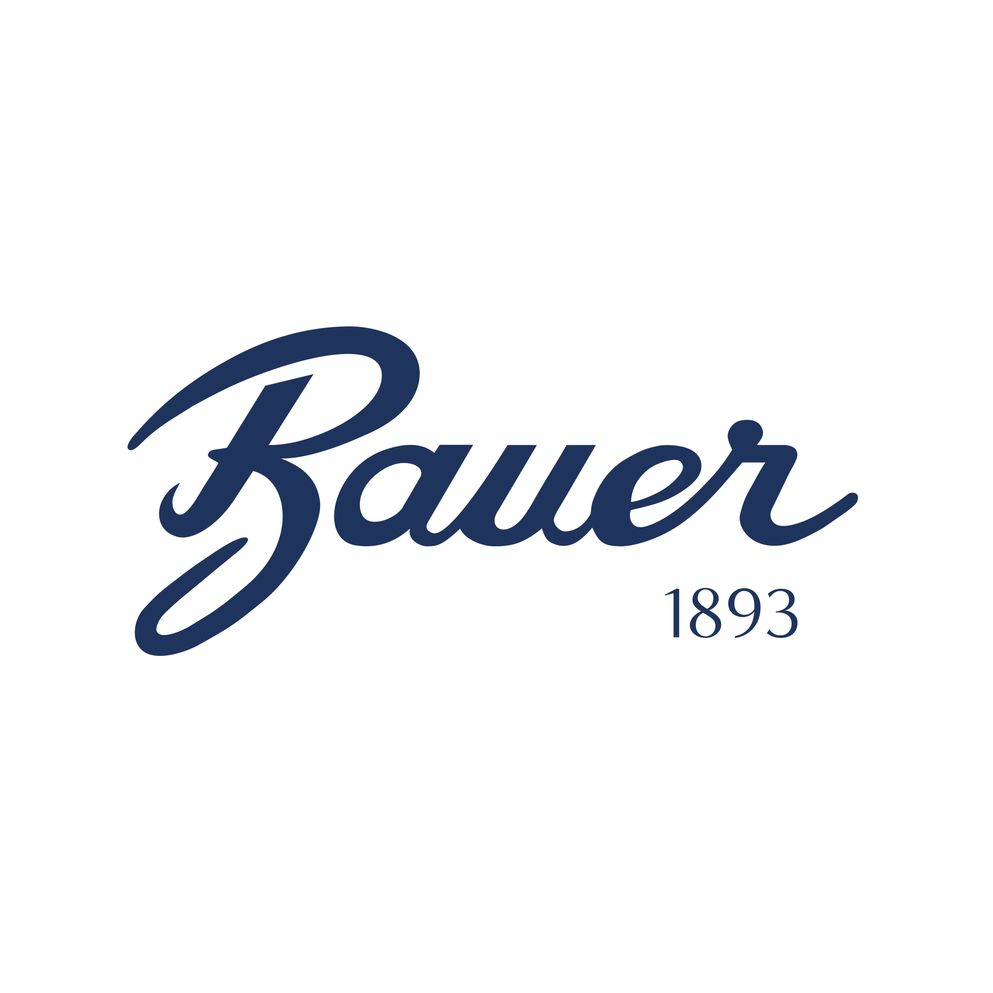 Logos Bauer_Azul